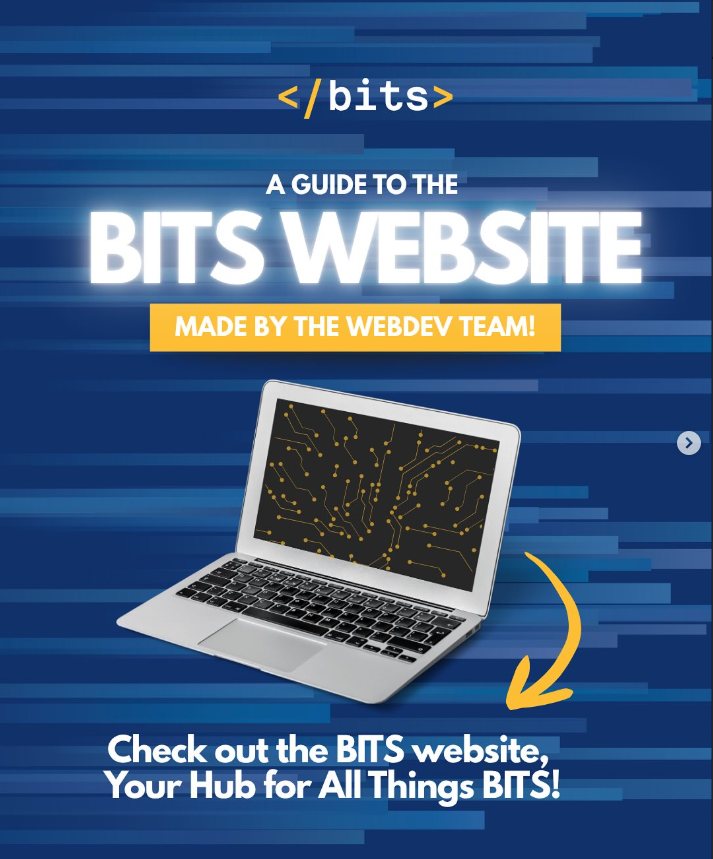 A guide to the BITS website